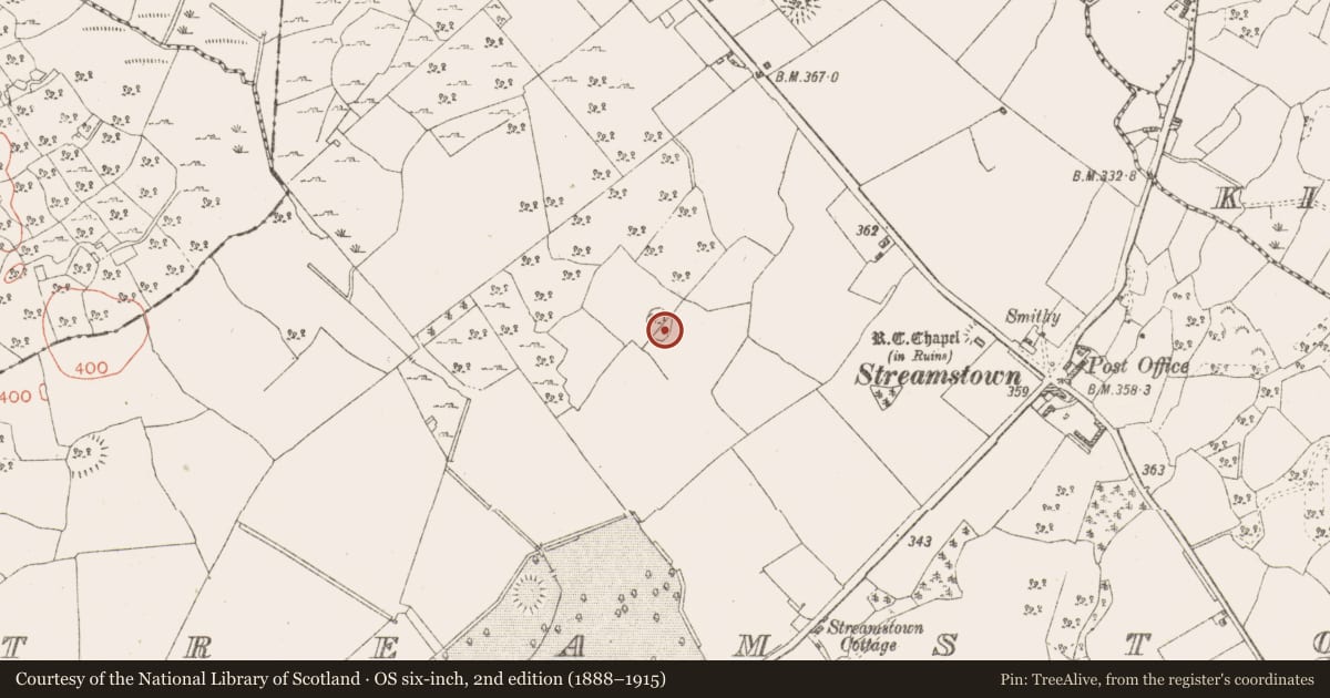 Ordnance Survey six-inch map, 2nd edition (1888–1915) covering the location of Ringfort - rath, Streamstown, County Westmeath, with a pin at the register's coordinates