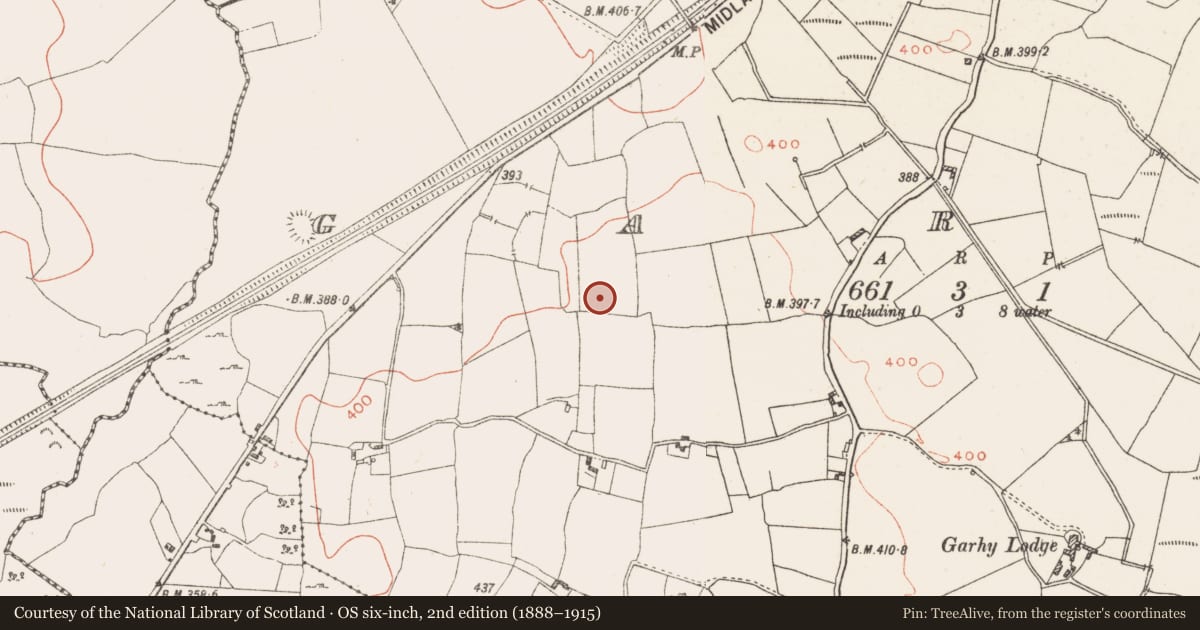 Ordnance Survey six-inch map, 2nd edition (1888–1915) covering the location of Cist, Garhy, County Westmeath, with a pin at the register's coordinates