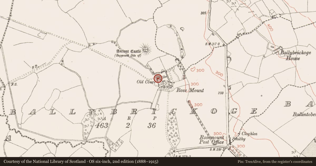 Ordnance Survey six-inch map, 2nd edition (1888–1915) covering the location of House - 17th century, Ballybrickoge, County Westmeath, with a pin at the register's coordinates