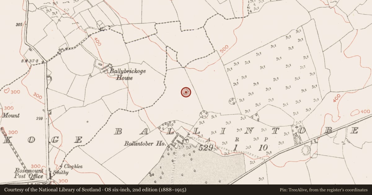 Ordnance Survey six-inch map, 2nd edition (1888–1915) covering the location of Ringfort - rath, Ballintober, County Westmeath, with a pin at the register's coordinates
