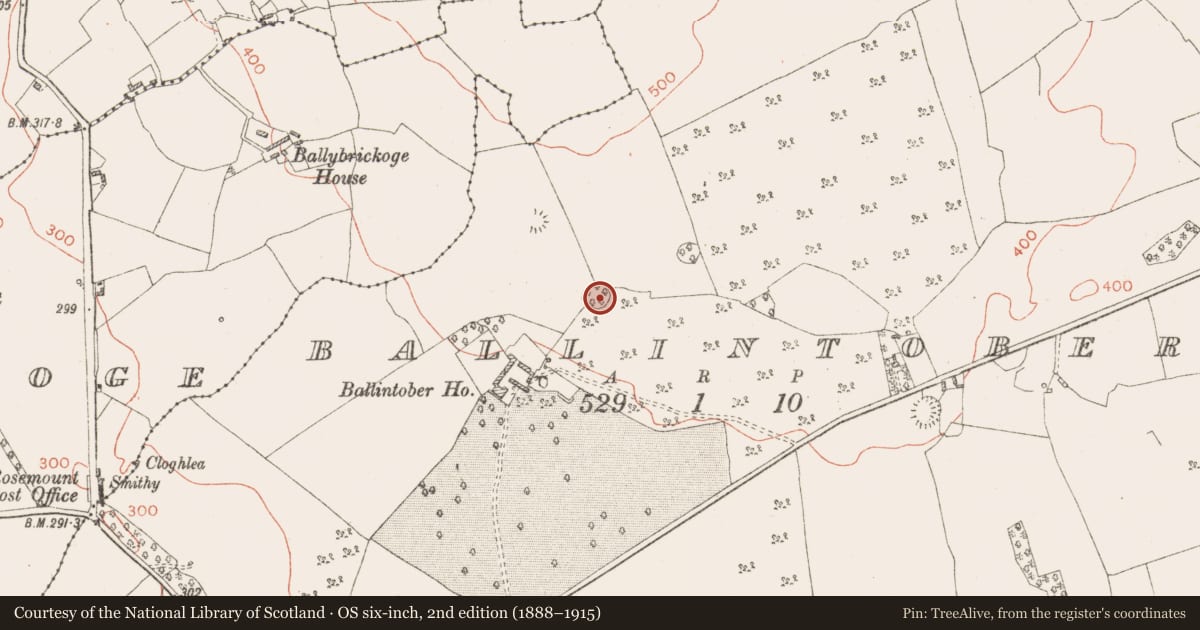 Ordnance Survey six-inch map, 2nd edition (1888–1915) covering the location of Ringfort - rath, Ballintober, County Westmeath, with a pin at the register's coordinates