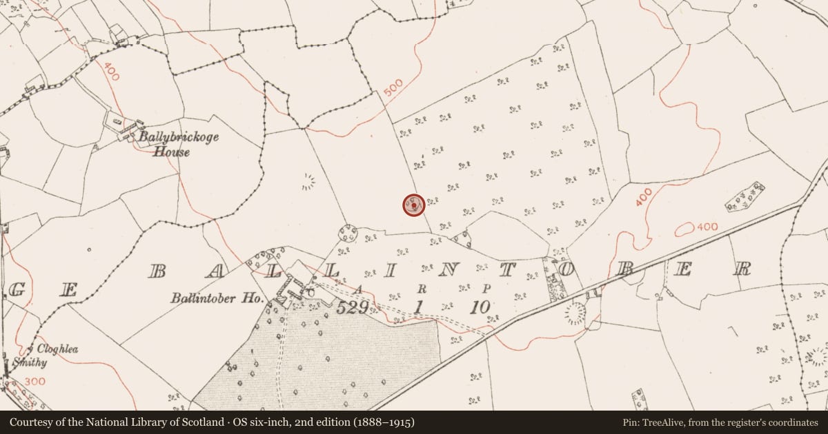 Ordnance Survey six-inch map, 2nd edition (1888–1915) covering the location of Ringfort - rath, Ballintober, County Westmeath, with a pin at the register's coordinates