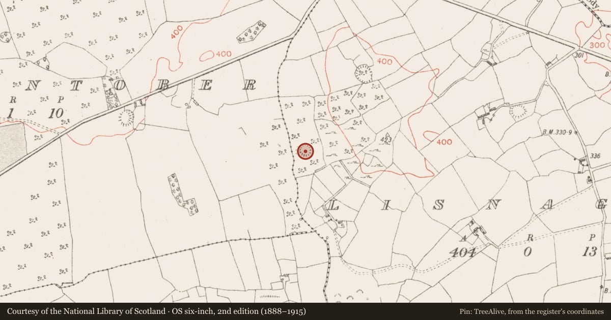 Ordnance Survey six-inch map, 2nd edition (1888–1915) covering the location of Ringfort - rath, Lisnagree, County Westmeath, with a pin at the register's coordinates