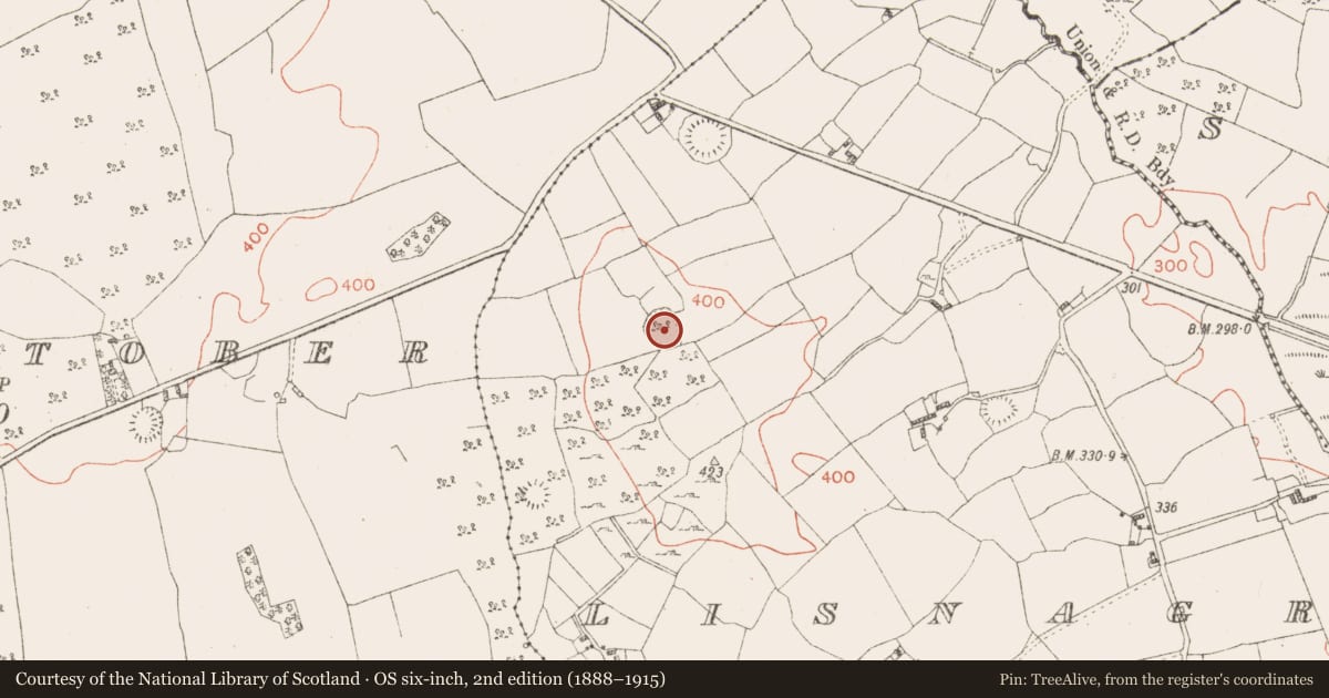 Ordnance Survey six-inch map, 2nd edition (1888–1915) covering the location of Ringfort - rath, Lisnagree, County Westmeath, with a pin at the register's coordinates