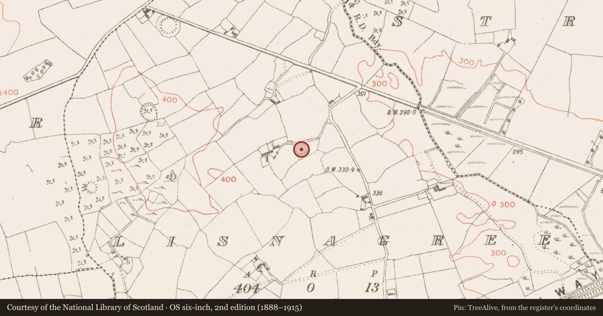 Ordnance Survey six-inch map, 2nd edition (1888–1915) covering the location of Ringfort - rath, Lisnagree, County Westmeath, with a pin at the register's coordinates