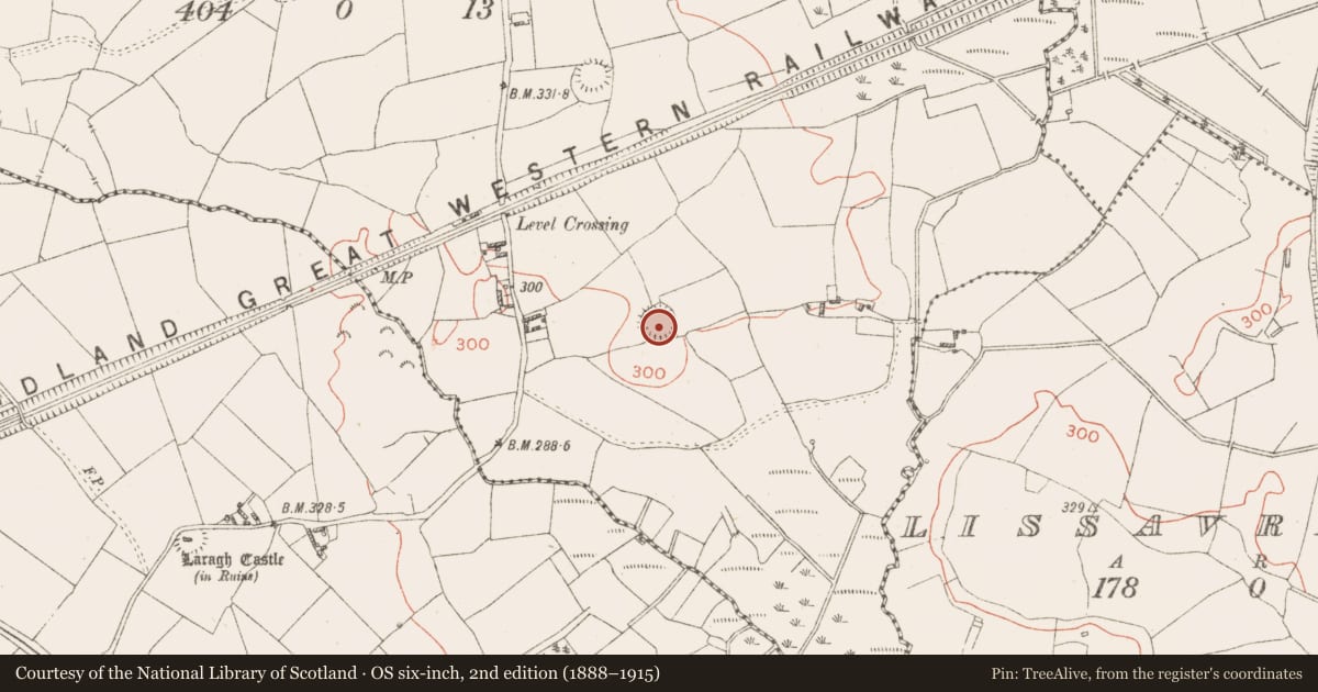 Ordnance Survey six-inch map, 2nd edition (1888–1915) covering the location of Ringfort - rath, Lisnagree, County Westmeath, with a pin at the register's coordinates