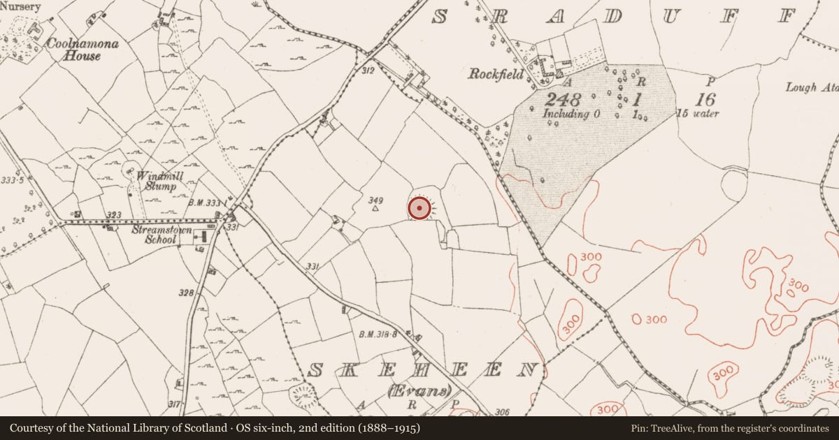 Ordnance Survey six-inch map, 2nd edition (1888–1915) covering the location of House - indeterminate date, Skeheen (Evans), County Westmeath, with a pin at the register's coordinates