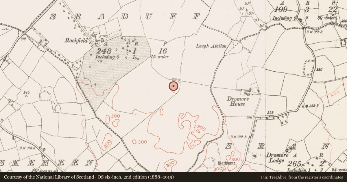 Ordnance Survey six-inch map, 2nd edition (1888–1915) covering the location of Ringfort - rath, Sraduff, County Westmeath, with a pin at the register's coordinates