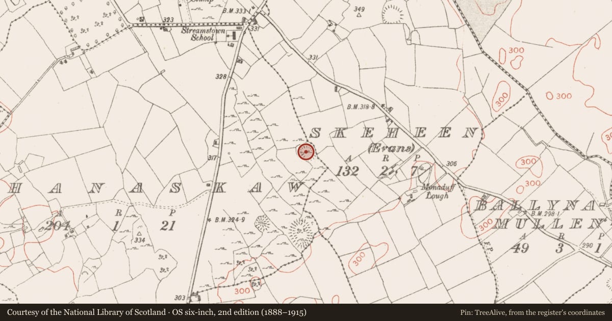 Ordnance Survey six-inch map, 2nd edition (1888–1915) covering the location of Ringfort - rath, Cloghanaskaw, County Westmeath, with a pin at the register's coordinates