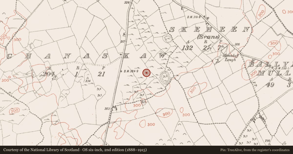 Ordnance Survey six-inch map, 2nd edition (1888–1915) covering the location of Ringfort - rath, Cloghanaskaw, County Westmeath, with a pin at the register's coordinates