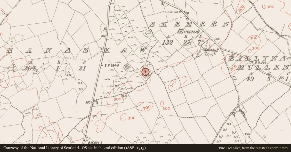 Ordnance Survey six-inch map, 2nd edition (1888–1915) covering the location of Ringfort - rath, Cloghanaskaw, County Westmeath, with a pin at the register's coordinates