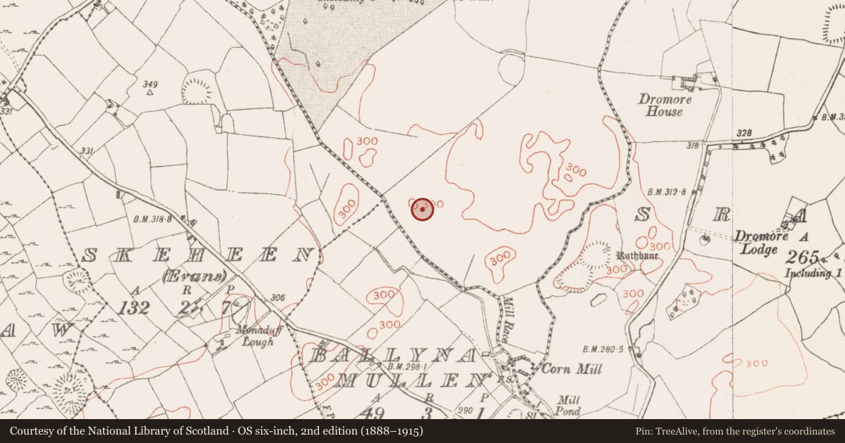 Ordnance Survey six-inch map, 2nd edition (1888–1915) covering the location of Enclosure, Sraduff, County Westmeath, with a pin at the register's coordinates