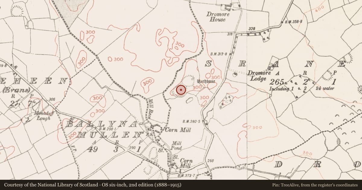 Ordnance Survey six-inch map, 2nd edition (1888–1915) covering the location of Ringfort - rath, Sraneeg, County Westmeath, with a pin at the register's coordinates