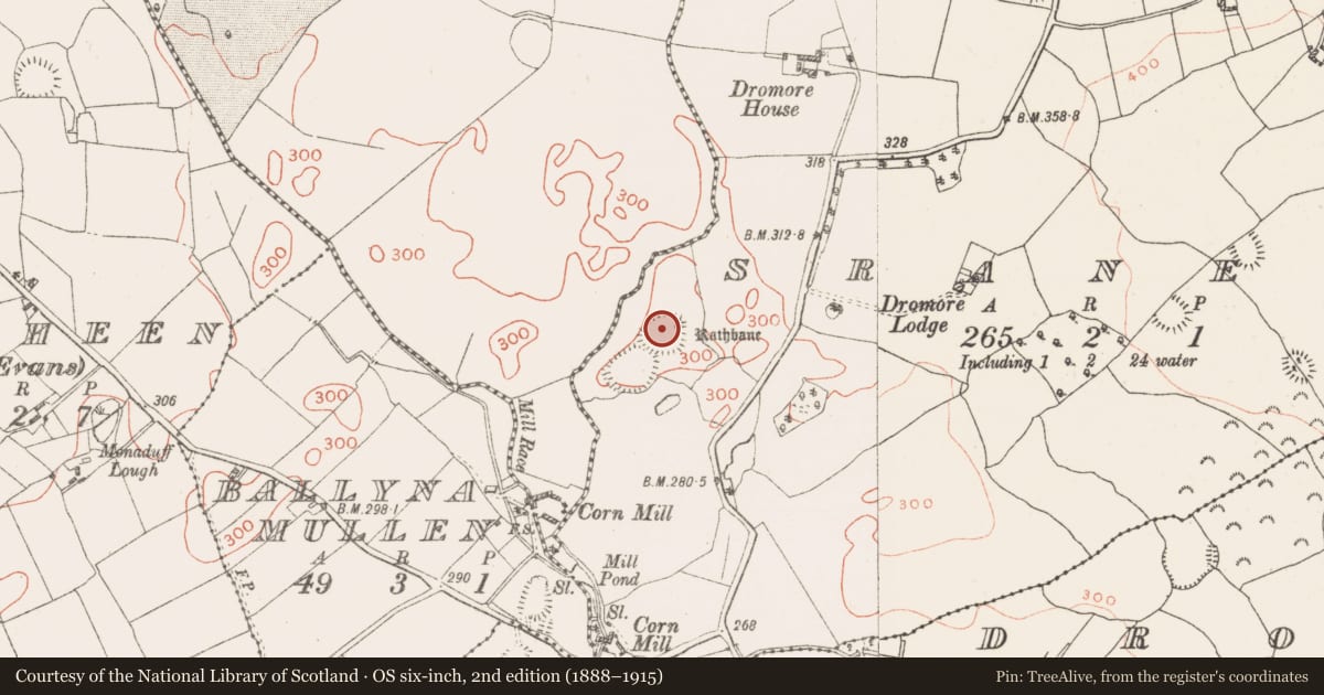 Ordnance Survey six-inch map, 2nd edition (1888–1915) covering the location of Ringfort - rath, Sraneeg, County Westmeath, with a pin at the register's coordinates