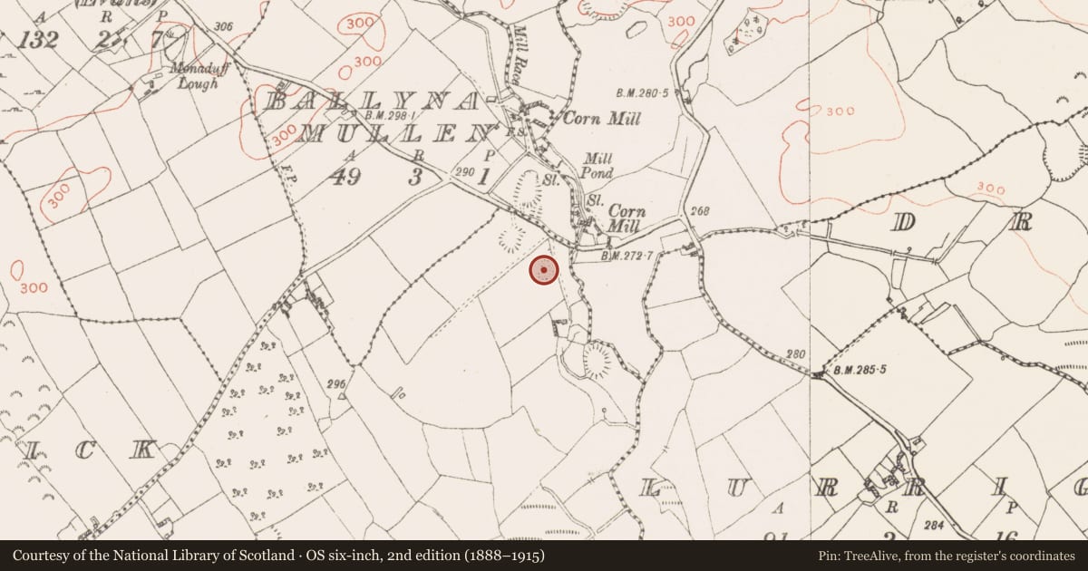 Ordnance Survey six-inch map, 2nd edition (1888–1915) covering the location of Ringfort - rath, Monaduff, County Westmeath, with a pin at the register's coordinates