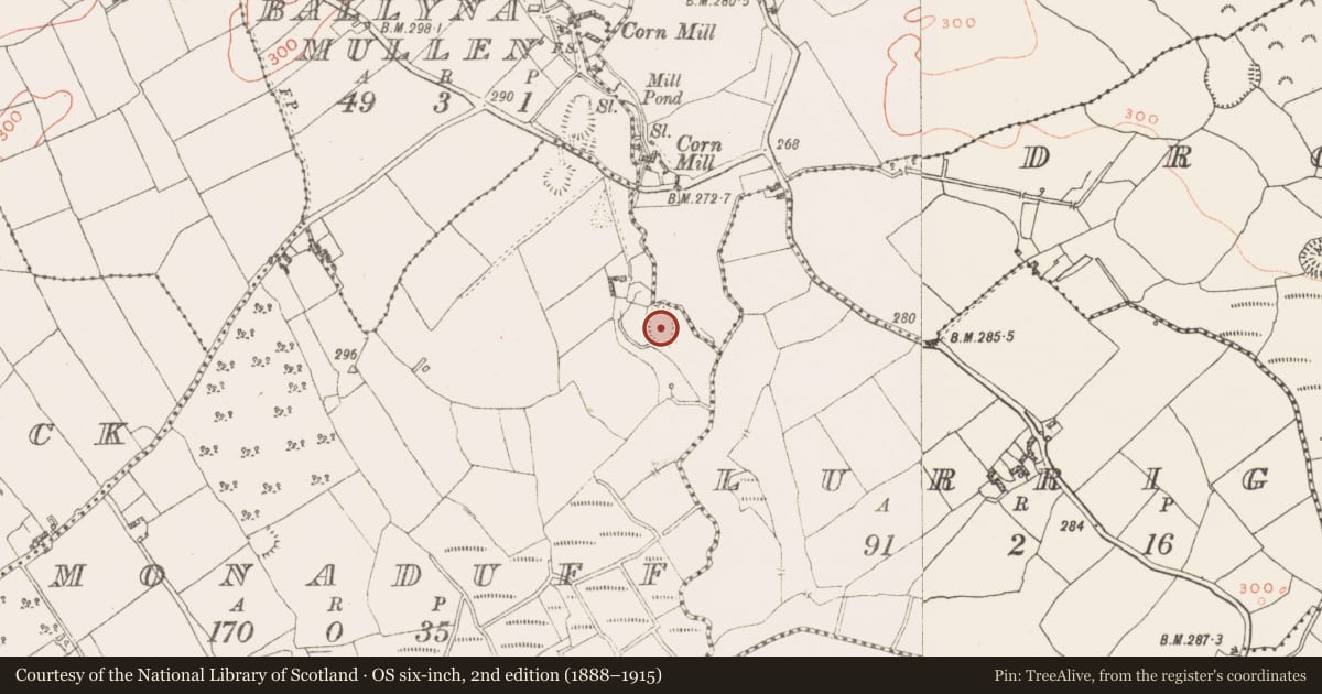 Ordnance Survey six-inch map, 2nd edition (1888–1915) covering the location of Ringfort - rath, Monaduff, County Westmeath, with a pin at the register's coordinates