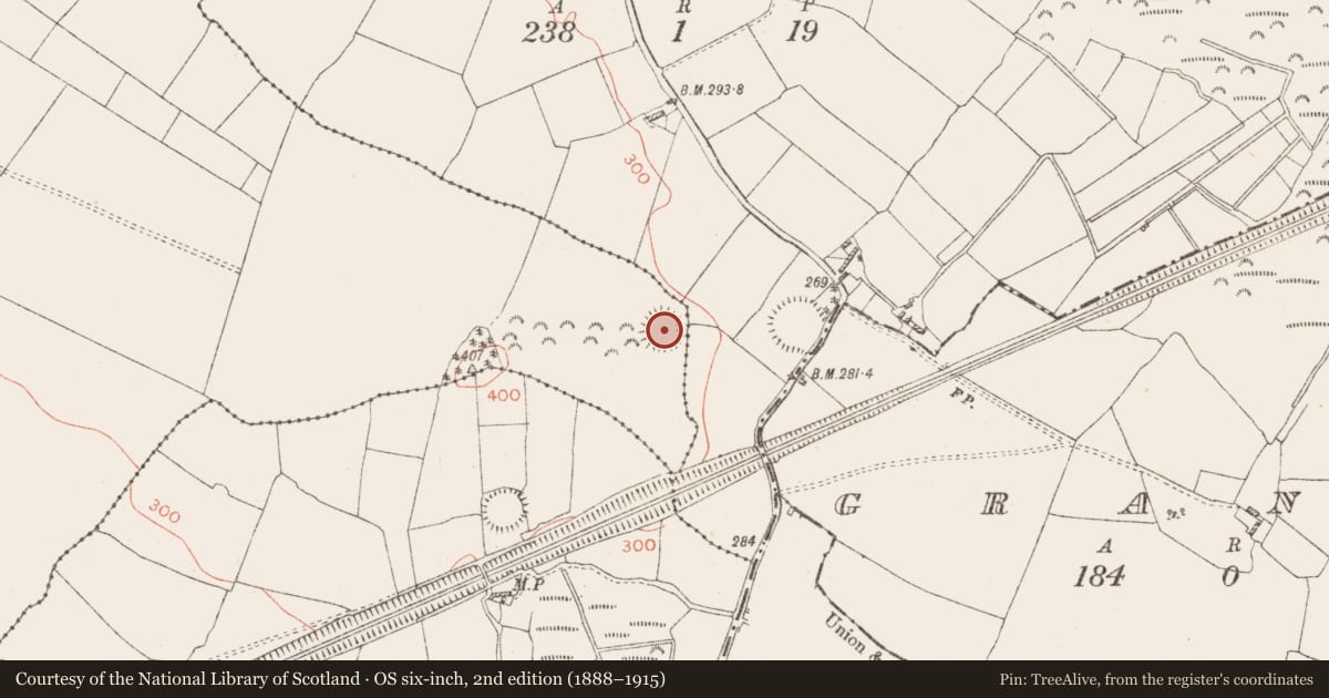 Ordnance Survey six-inch map, 2nd edition (1888–1915) covering the location of Ringfort - rath, Ballinderry, County Westmeath, with a pin at the register's coordinates