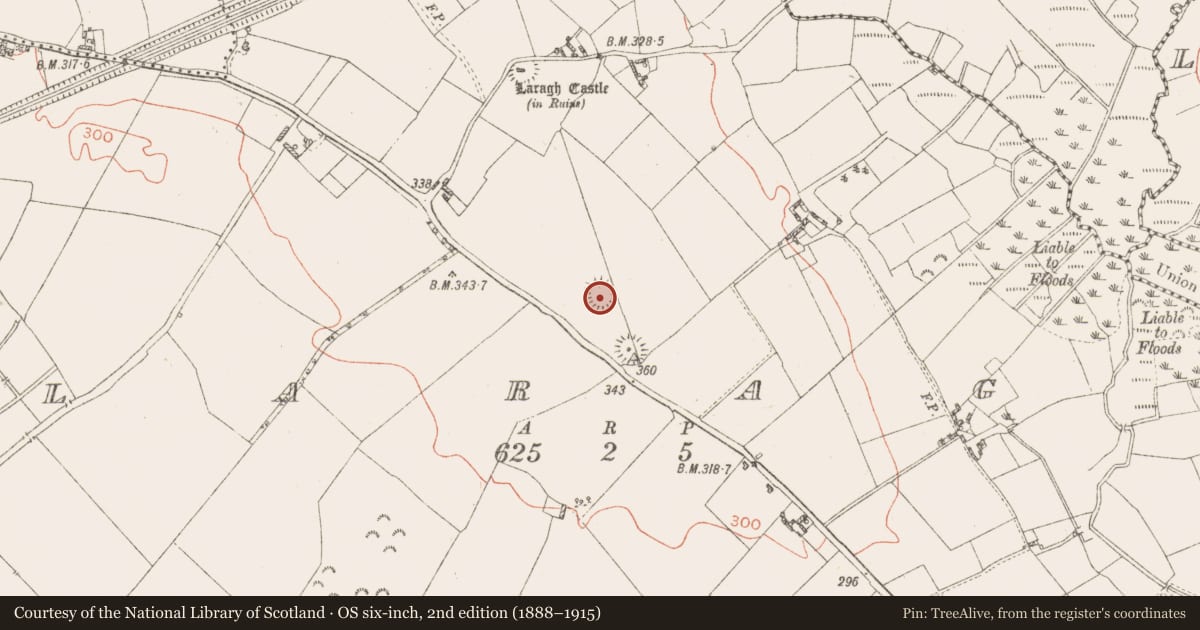 Ordnance Survey six-inch map, 2nd edition (1888–1915) covering the location of Ringfort - rath, Laragh, County Westmeath, with a pin at the register's coordinates
