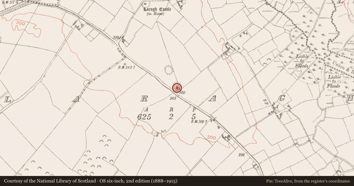 Ordnance Survey six-inch map, 2nd edition (1888–1915) covering the location of Ringfort - rath, Laragh, County Westmeath, with a pin at the register's coordinates