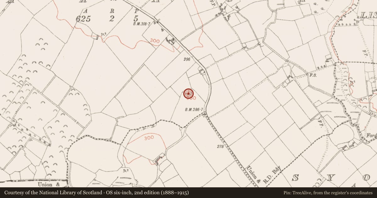 Ordnance Survey six-inch map, 2nd edition (1888–1915) covering the location of Ringfort - rath, Laragh, County Westmeath, with a pin at the register's coordinates