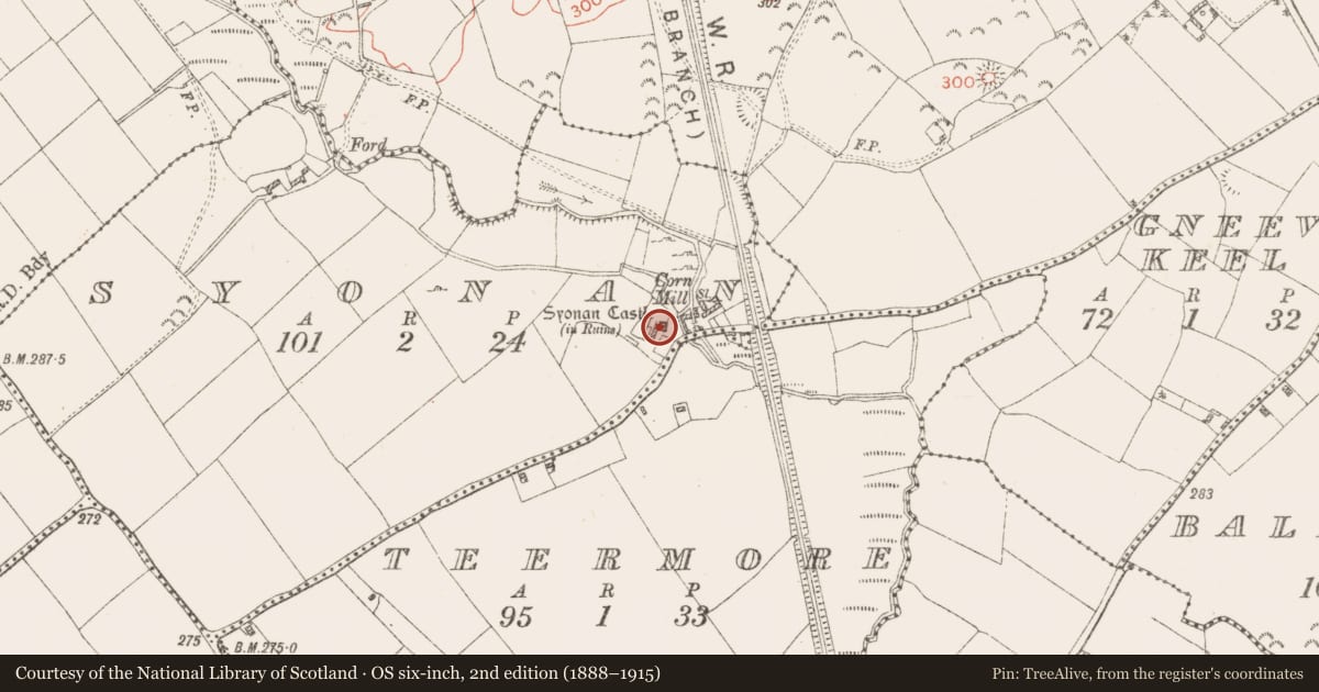 Ordnance Survey six-inch map, 2nd edition (1888–1915) covering the location of Castle - tower house, Syonan, County Westmeath, with a pin at the register's coordinates