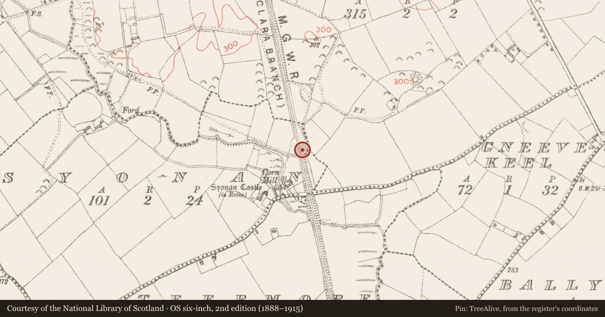 Ordnance Survey six-inch map, 2nd edition (1888–1915) covering the location of Barrow - unclassified, Syonan, County Westmeath, with a pin at the register's coordinates