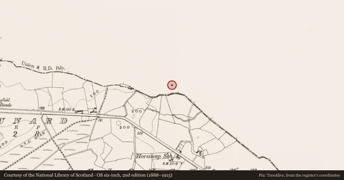 Ordnance Survey six-inch map, 2nd edition (1888–1915) covering the location of Ritual site - holy well, Ardnurcher, County Westmeath, with a pin at the register's coordinates