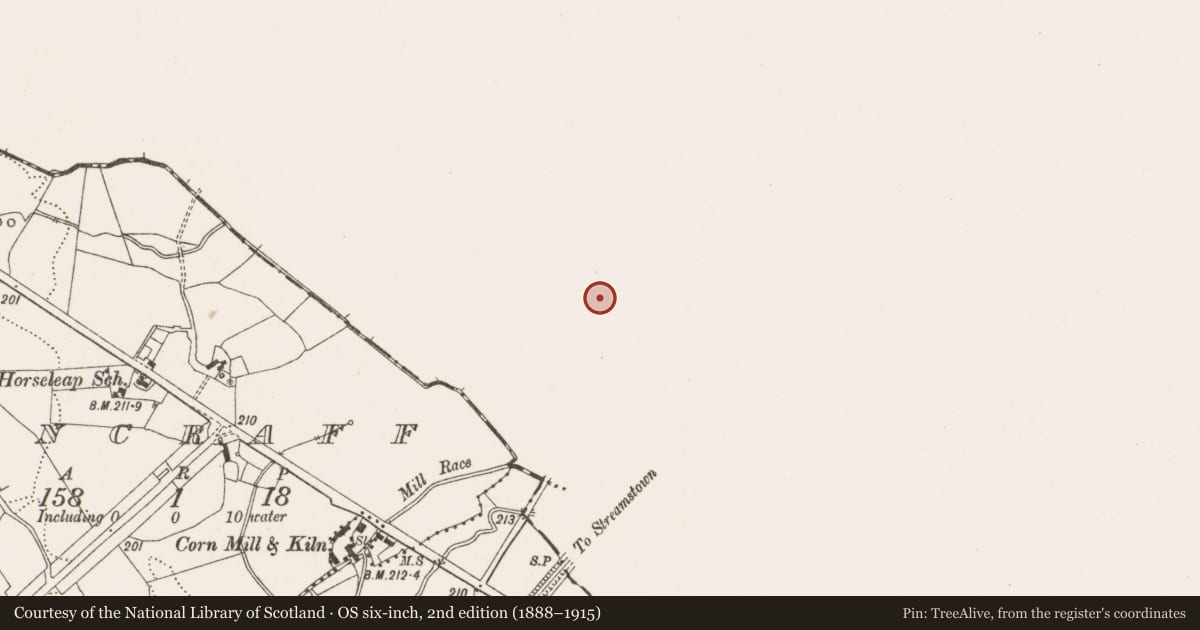 Ordnance Survey six-inch map, 2nd edition (1888–1915) covering the location of Church, Ardnurcher, County Westmeath, with a pin at the register's coordinates