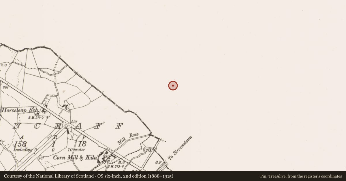 Ordnance Survey six-inch map, 2nd edition (1888–1915) covering the location of Ecclesiastical enclosure, Ardnurcher, County Westmeath, with a pin at the register's coordinates