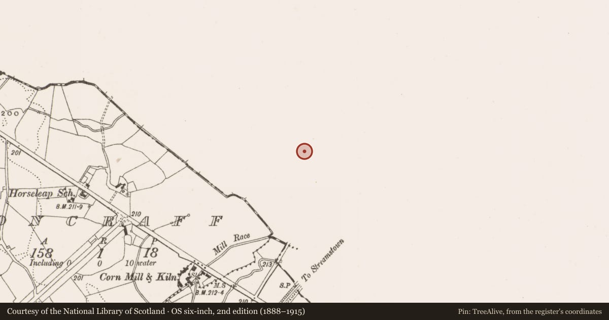Ordnance Survey six-inch map, 2nd edition (1888–1915) covering the location of Burial Vault, Ardnurcher, County Westmeath, with a pin at the register's coordinates