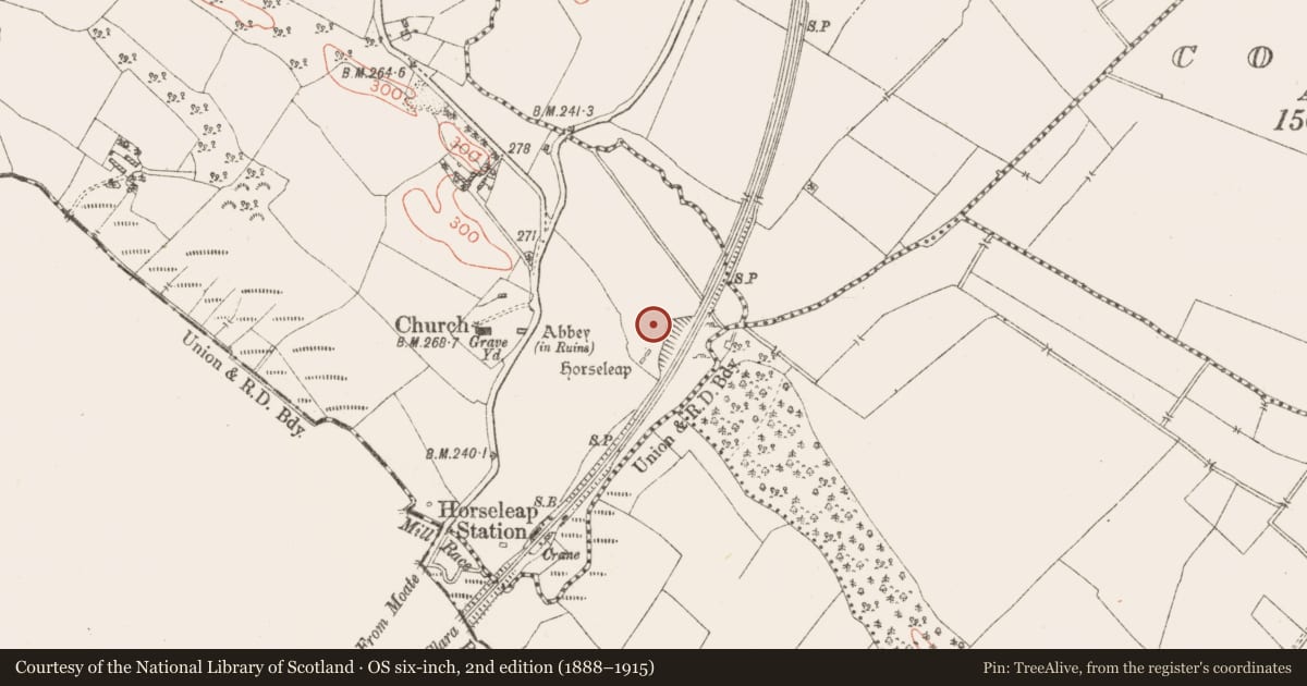 Ordnance Survey six-inch map, 2nd edition (1888–1915) covering the location of Castle - motte and bailey, Ardnurcher, County Westmeath, with a pin at the register's coordinates