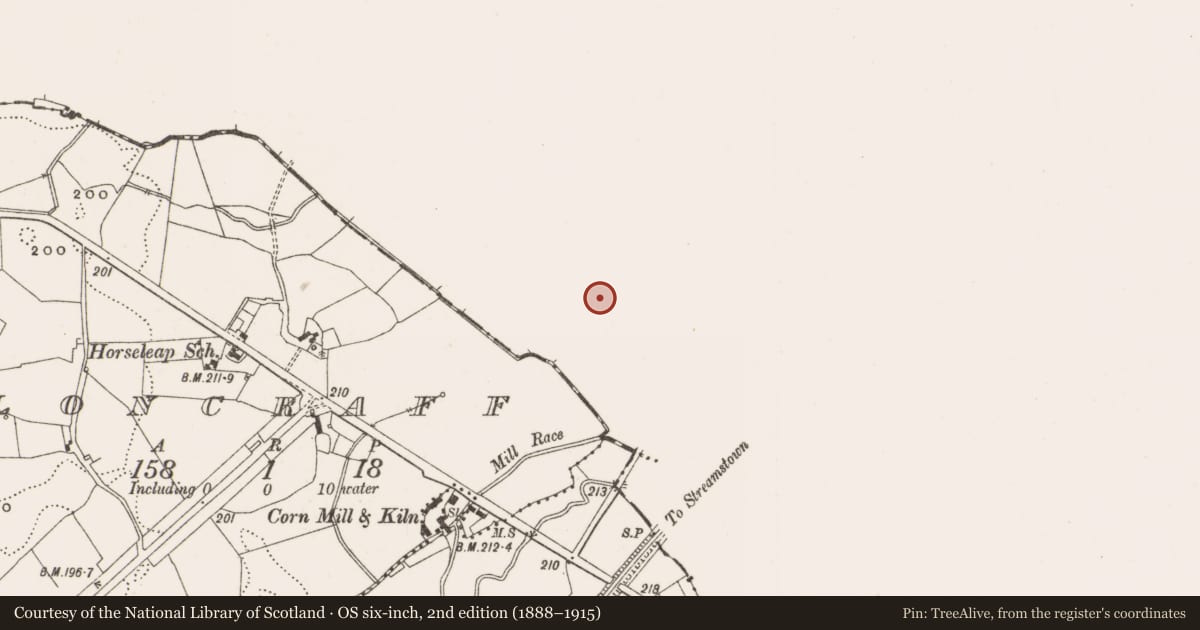 Ordnance Survey six-inch map, 2nd edition (1888–1915) covering the location of House - medieval, Ardnurcher, County Westmeath, with a pin at the register's coordinates