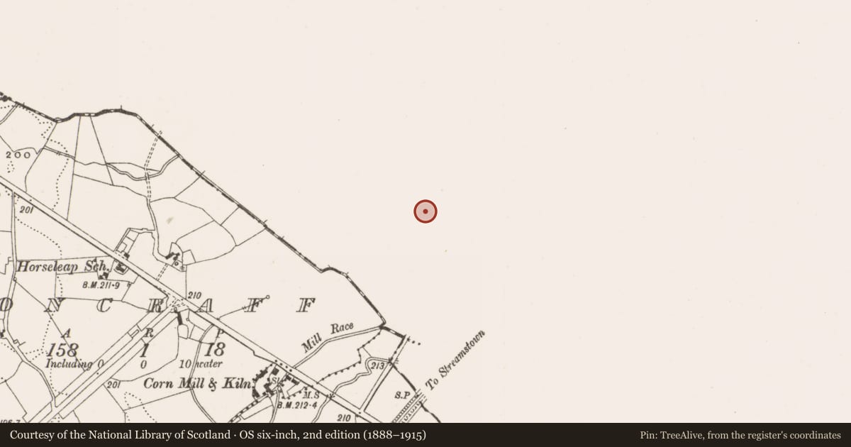 Ordnance Survey six-inch map, 2nd edition (1888–1915) covering the location of Wall monument - effigial, Ardnurcher, County Westmeath, with a pin at the register's coordinates