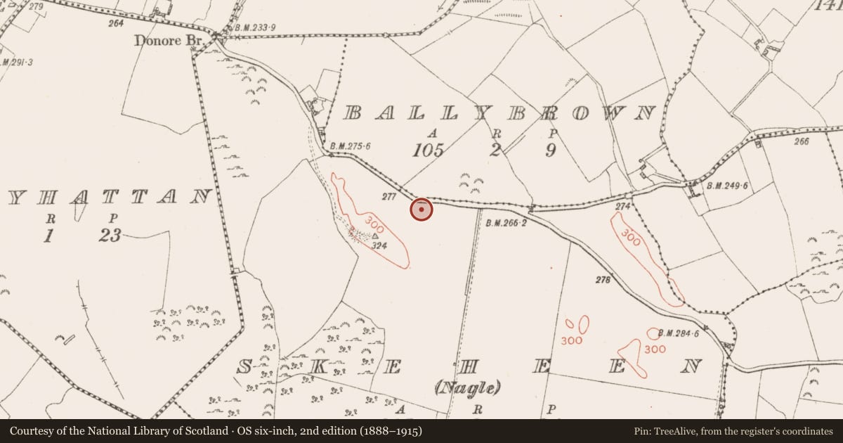 Ordnance Survey six-inch map, 2nd edition (1888–1915) covering the location of Barrow - ring-barrow, Skeheen (Nagle), County Westmeath, with a pin at the register's coordinates