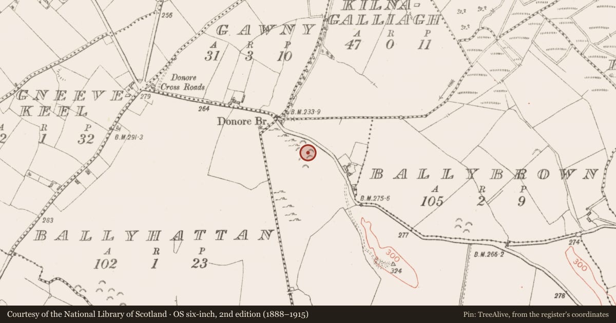 Ordnance Survey six-inch map, 2nd edition (1888–1915) covering the location of Moated site, Skeheen (Nagle), County Westmeath, with a pin at the register's coordinates
