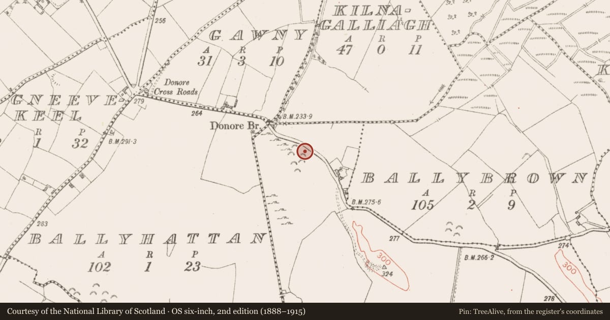 Ordnance Survey six-inch map, 2nd edition (1888–1915) covering the location of Stone circle, Skeheen (Nagle), County Westmeath, with a pin at the register's coordinates