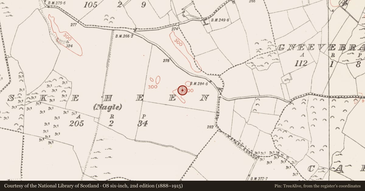 Ordnance Survey six-inch map, 2nd edition (1888–1915) covering the location of Enclosure, Skeheen (Nagle), County Westmeath, with a pin at the register's coordinates