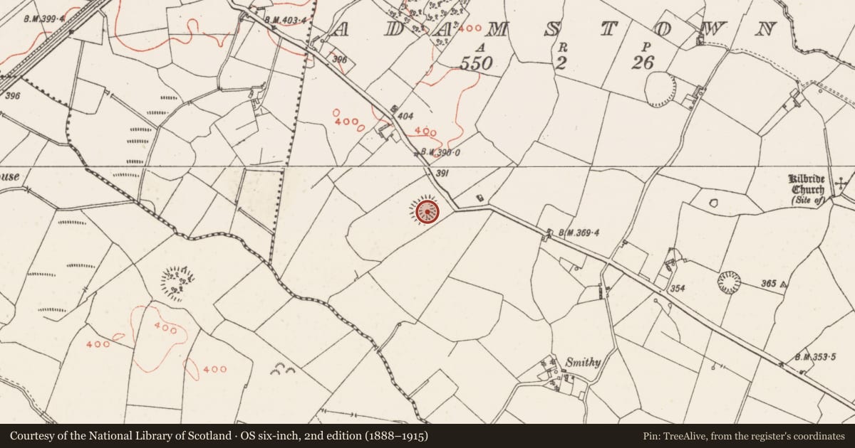 Ordnance Survey six-inch map, 2nd edition (1888–1915) covering the location of Ringfort - rath, Adamstown, County Westmeath, with a pin at the register's coordinates