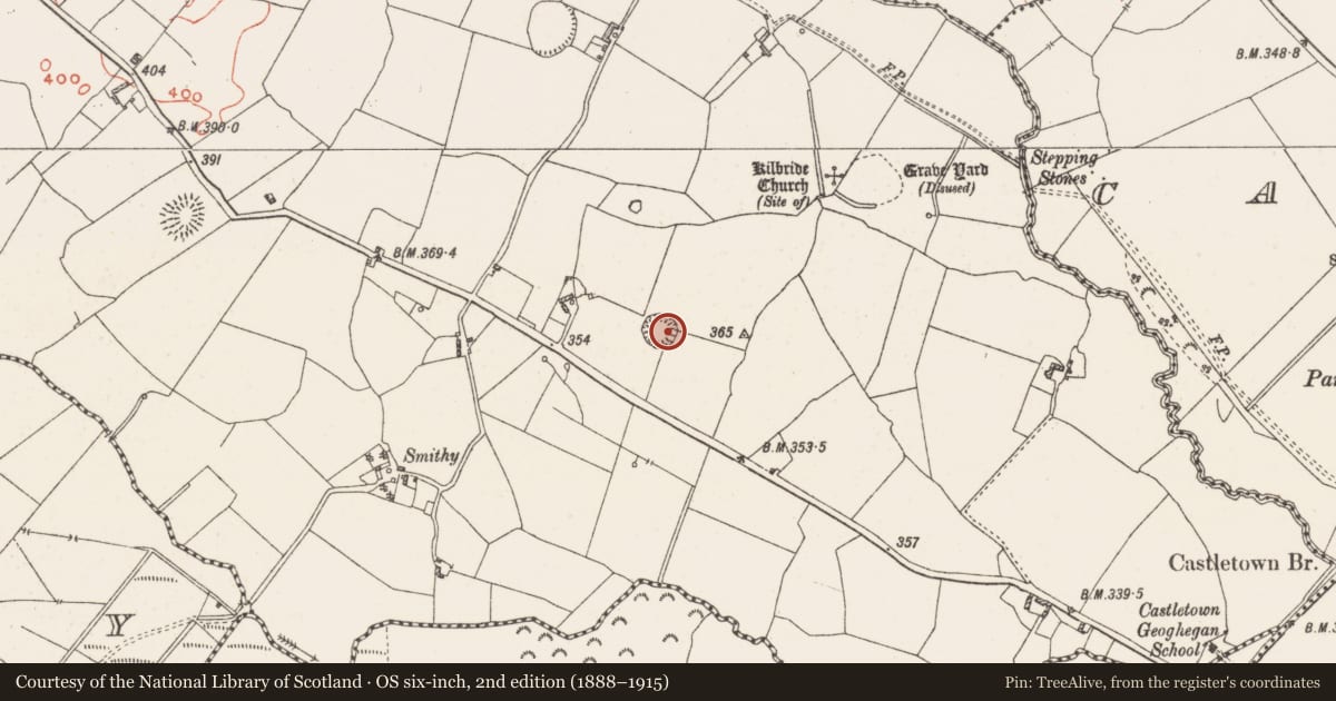 Ordnance Survey six-inch map, 2nd edition (1888–1915) covering the location of Ringfort - rath, Adamstown, County Westmeath, with a pin at the register's coordinates