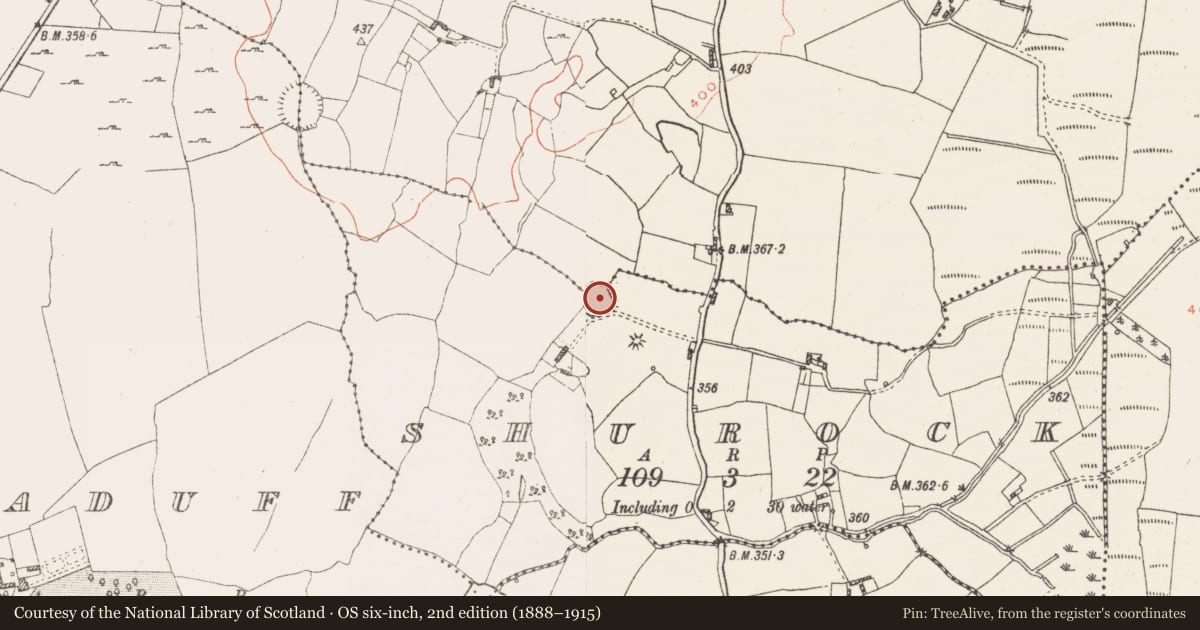 Ordnance Survey six-inch map, 2nd edition (1888–1915) covering the location of Ringfort - rath, Shurock, County Westmeath, with a pin at the register's coordinates