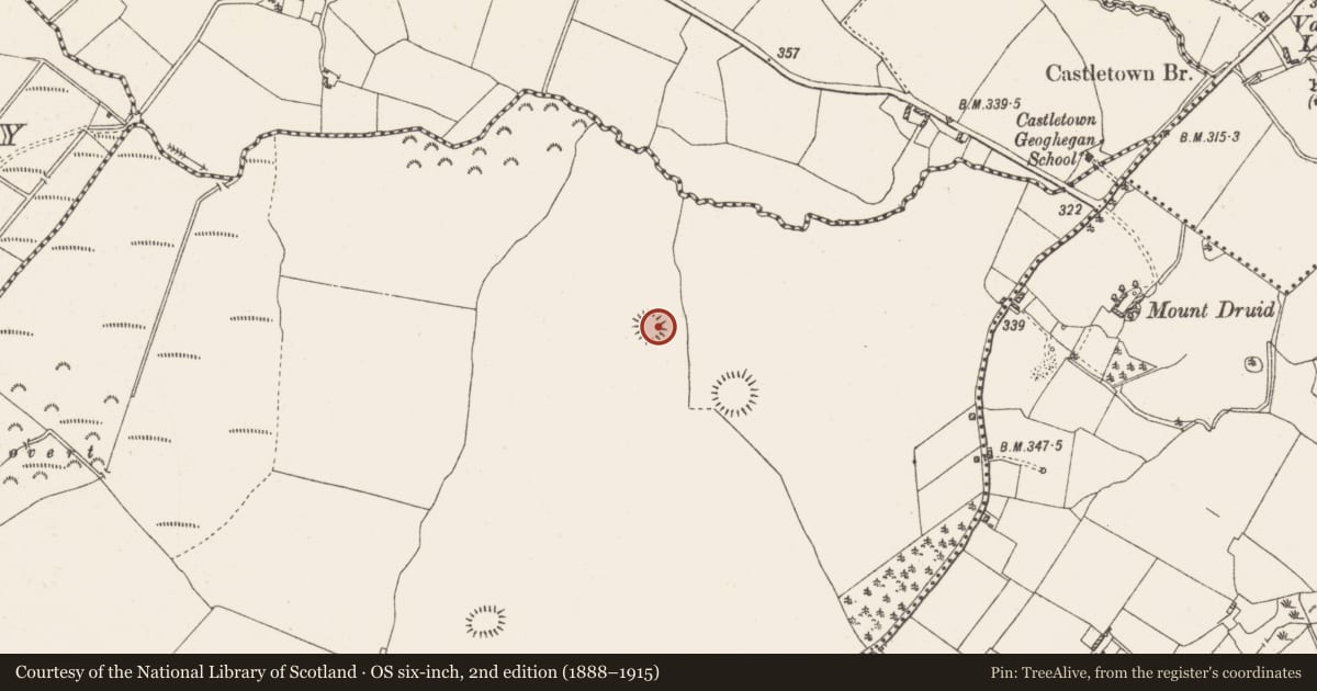 Ordnance Survey six-inch map, 2nd edition (1888–1915) covering the location of Ringfort - rath, Ballyhast, County Westmeath, with a pin at the register's coordinates
