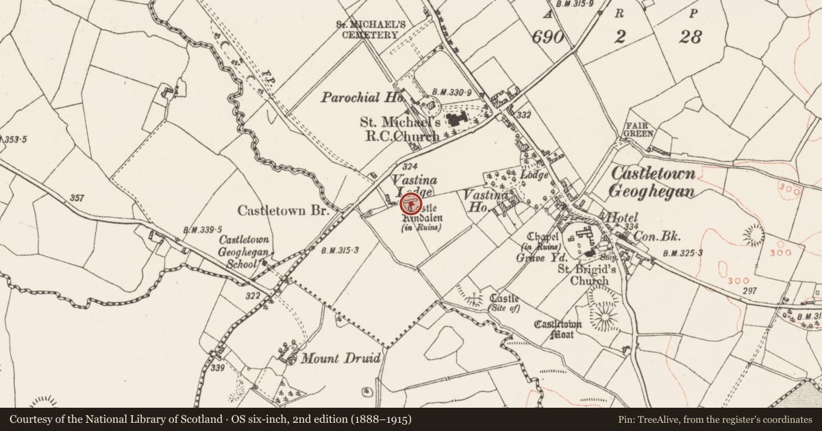 Ordnance Survey six-inch map, 2nd edition (1888–1915) covering the location of Castle - unclassified, Castletown, County Westmeath, with a pin at the register's coordinates