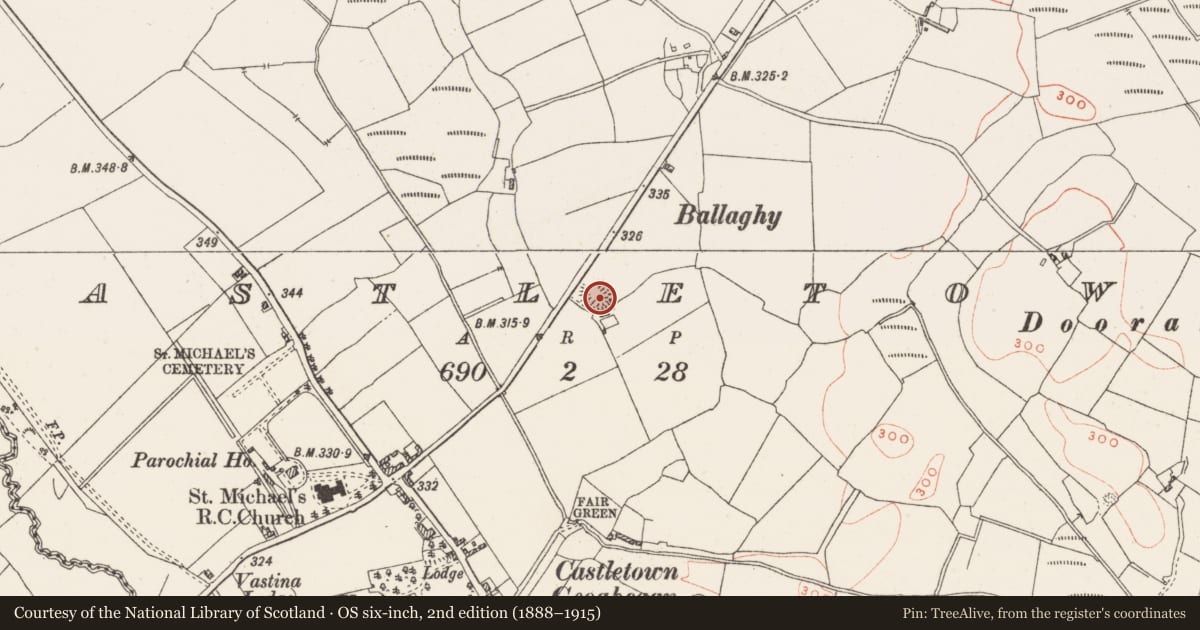 Ordnance Survey six-inch map, 2nd edition (1888–1915) covering the location of Ringfort - rath, Castletown, County Westmeath, with a pin at the register's coordinates