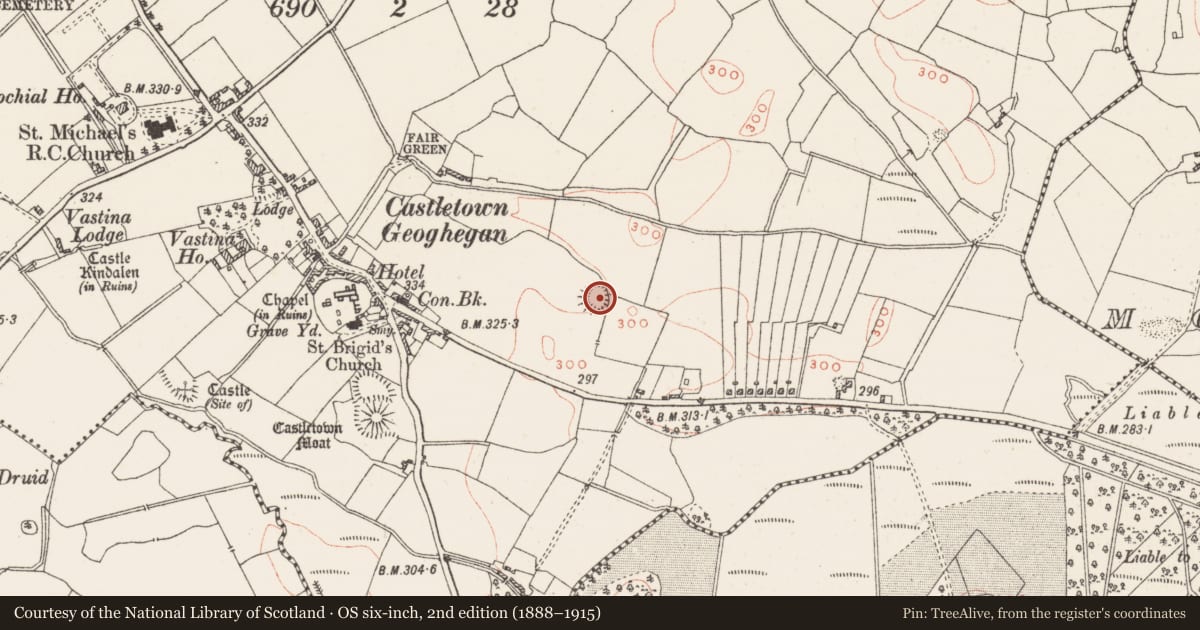 Ordnance Survey six-inch map, 2nd edition (1888–1915) covering the location of Ringfort - rath, Castletown, County Westmeath, with a pin at the register's coordinates