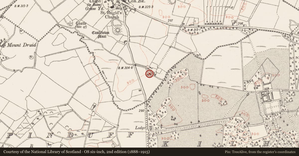 Ordnance Survey six-inch map, 2nd edition (1888–1915) covering the location of Enclosure, Castletown, County Westmeath, with a pin at the register's coordinates