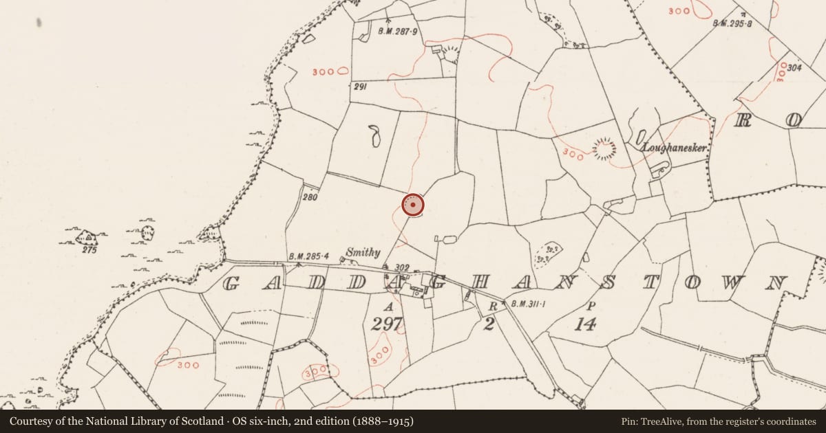 Ordnance Survey six-inch map, 2nd edition (1888–1915) covering the location of Ringfort - rath, Gaddaghanstown, County Westmeath, with a pin at the register's coordinates