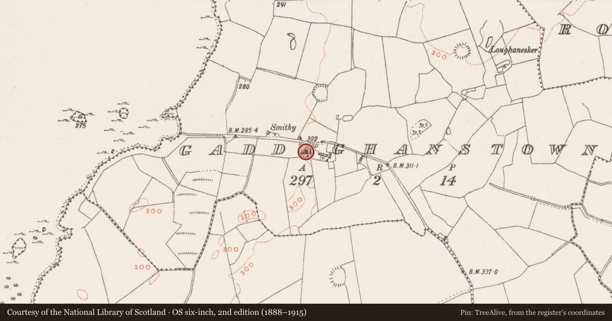 Ordnance Survey six-inch map, 2nd edition (1888–1915) covering the location of Enclosure, Gaddaghanstown, County Westmeath, with a pin at the register's coordinates