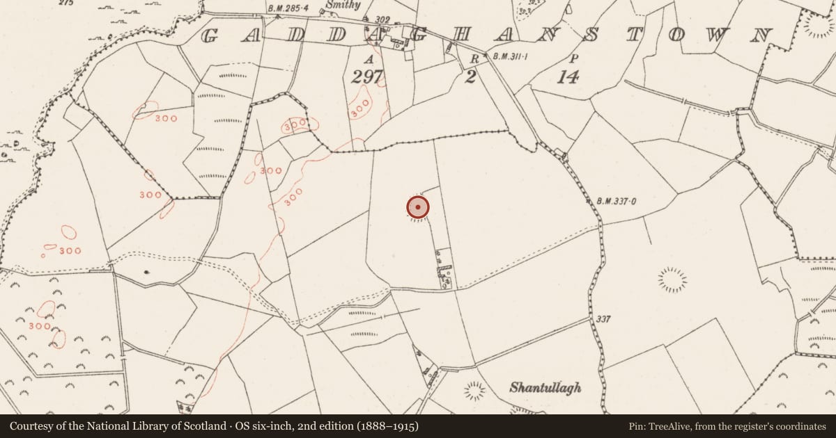 Ordnance Survey six-inch map, 2nd edition (1888–1915) covering the location of Enclosure, Friarstown, County Westmeath, with a pin at the register's coordinates