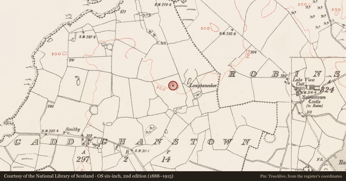 Ordnance Survey six-inch map, 2nd edition (1888–1915) covering the location of Ringfort - rath, Gaddaghanstown, County Westmeath, with a pin at the register's coordinates