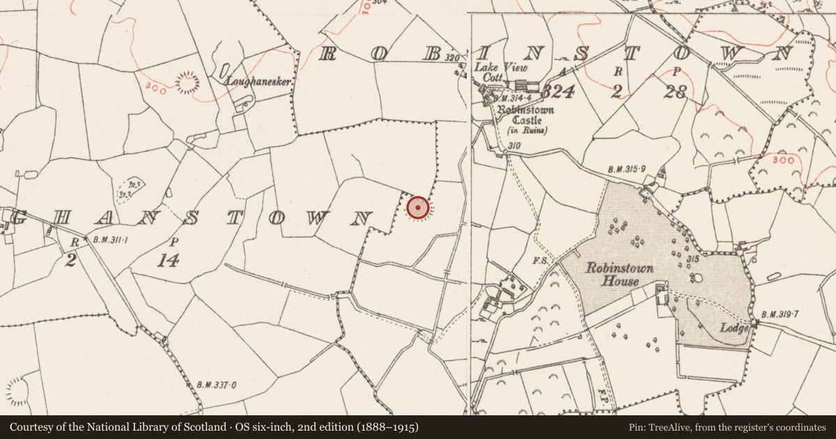 Ordnance Survey six-inch map, 2nd edition (1888–1915) covering the location of Ringfort - rath, Robinstown (Fartullagh By., Carrick Par.), County Westmeath, with a pin at the register's coordinates
